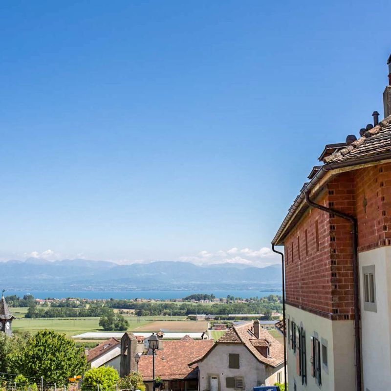 Domaine du Château de Vinzel