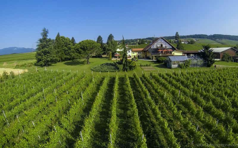 Domaine la Capitaine &agrave; Begnins