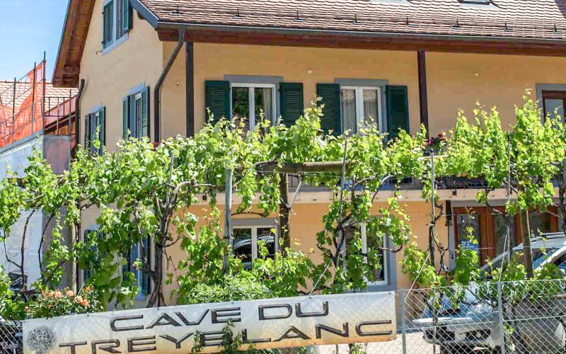 Maison du Domaine Cave du Treyblanc