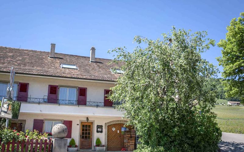 Maison du Domaine de la Cave des Ruaz à Vinzel