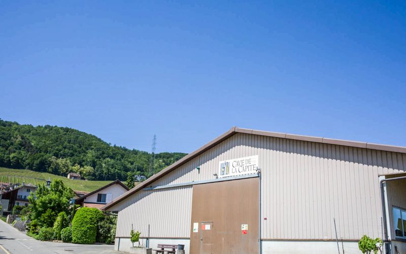 Cave Berthet à Vinzel