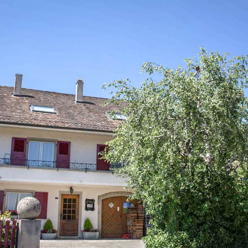 Maison du Domaine de la Cave des Ruaz à Vinzel