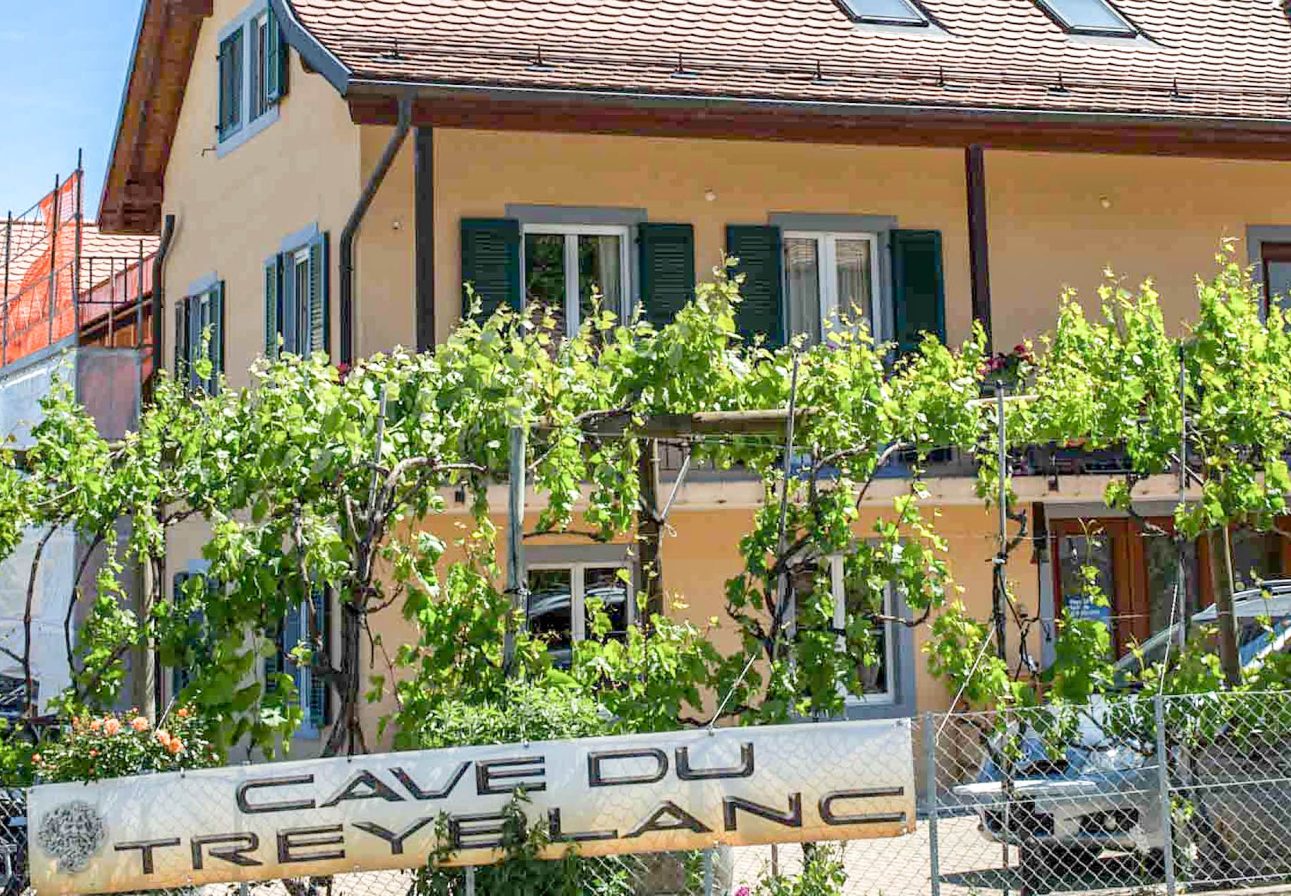 Maison du Domaine Cave du Treyblanc