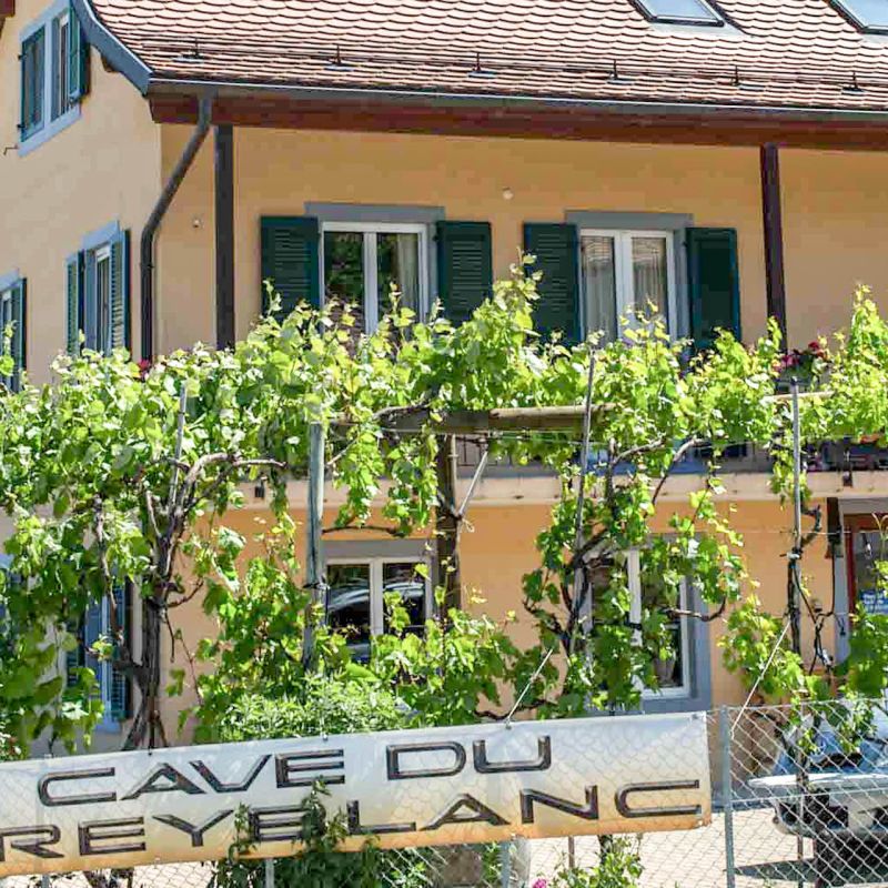 Maison du Domaine Cave du Treyblanc