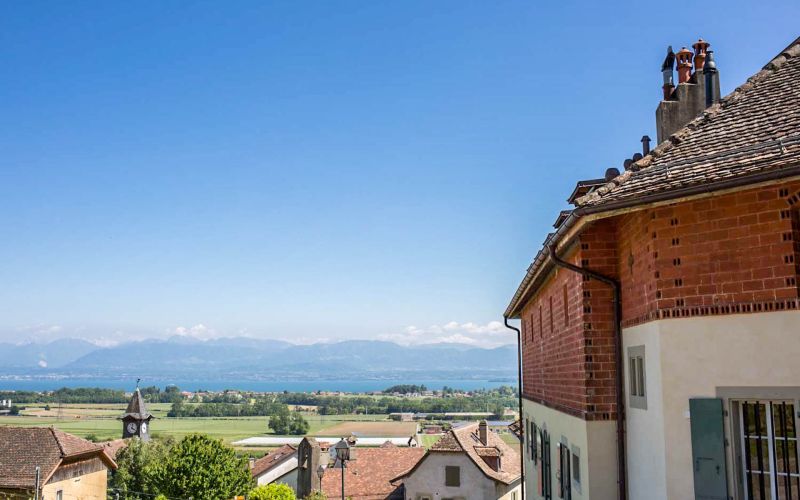 Domaine du Château de Vinzel