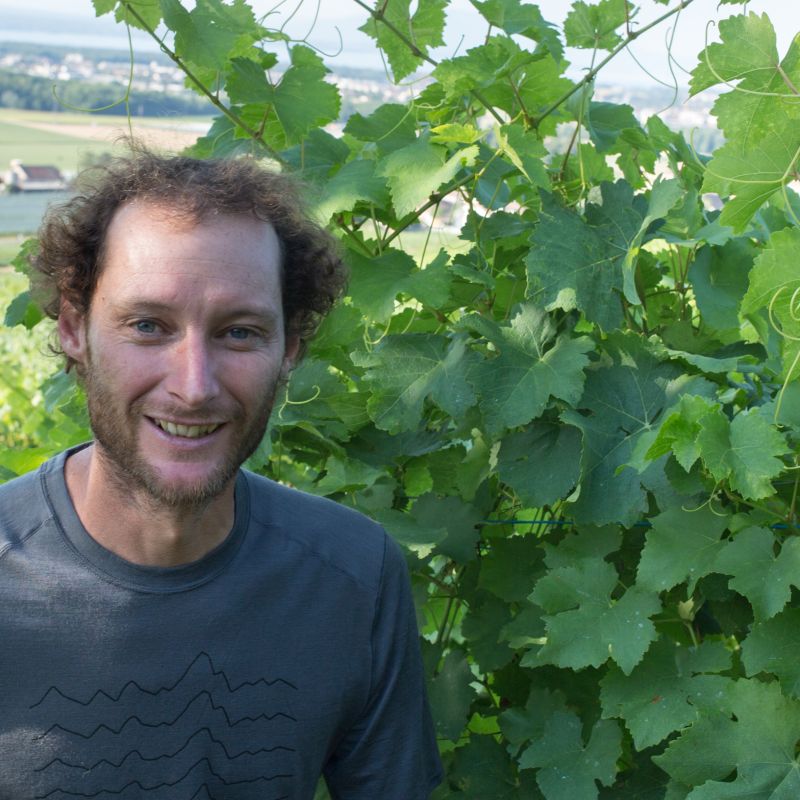 Alain Bersier dans son domaine viticole de Vinzel.