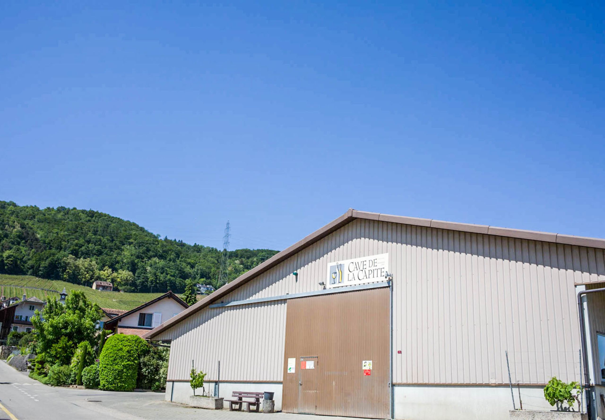 Cave Berthet à Vinzel