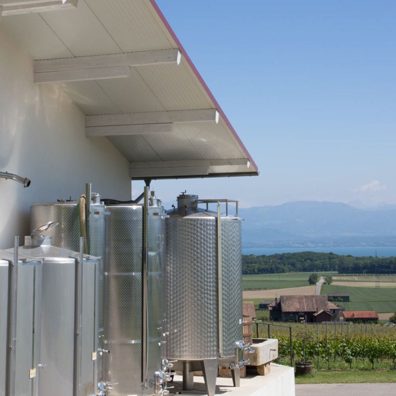 Domaine des Sieurs à Luins