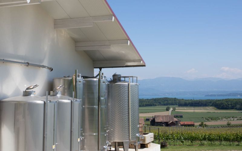 Domaine des Sieurs &agrave; Luins