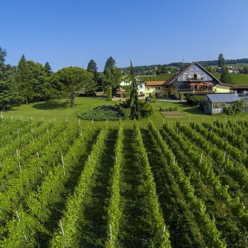 Domaine la Capitaine à Begnins