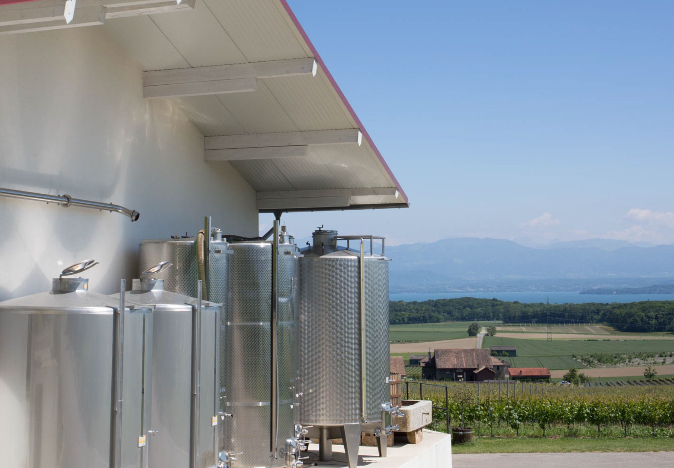 Domaine des Sieurs à Luins